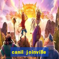 canil joinville vila nova